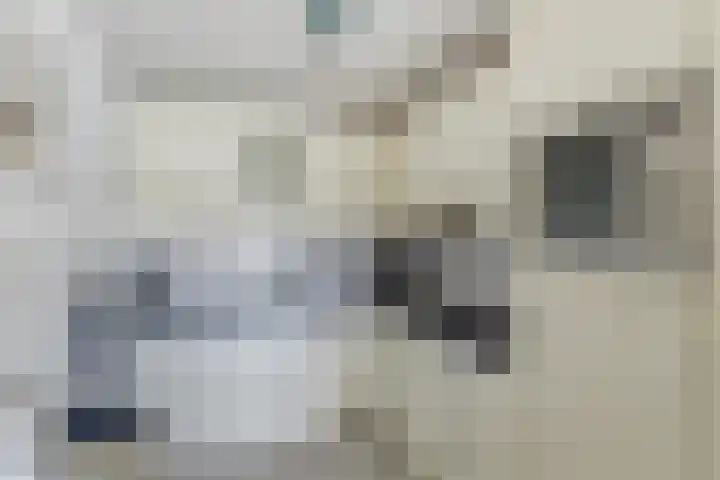 Bernhardhof 625 Gouda thumbnail 11