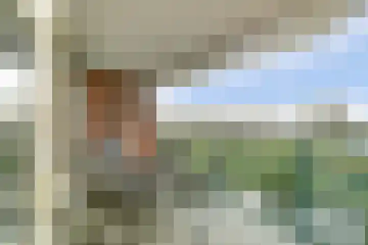 Bernhardhof 625 Gouda thumbnail 16