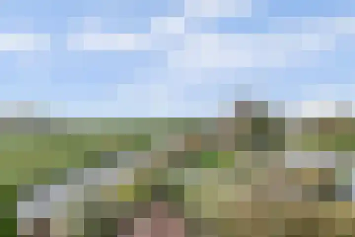 Bernhardhof 625 Gouda thumbnail 18
