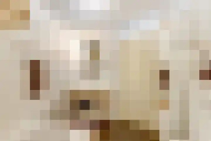 Bernhardhof 625 Gouda thumbnail 27