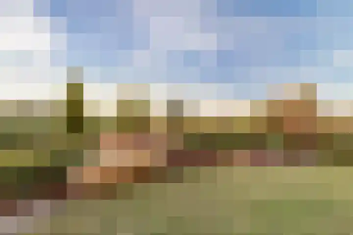 Bernhardhof 625 Gouda thumbnail 35