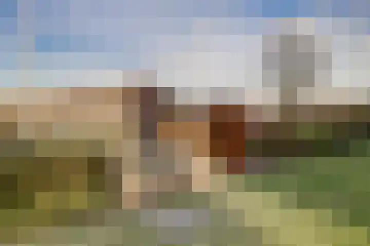 Bernhardhof 625 Gouda thumbnail 36