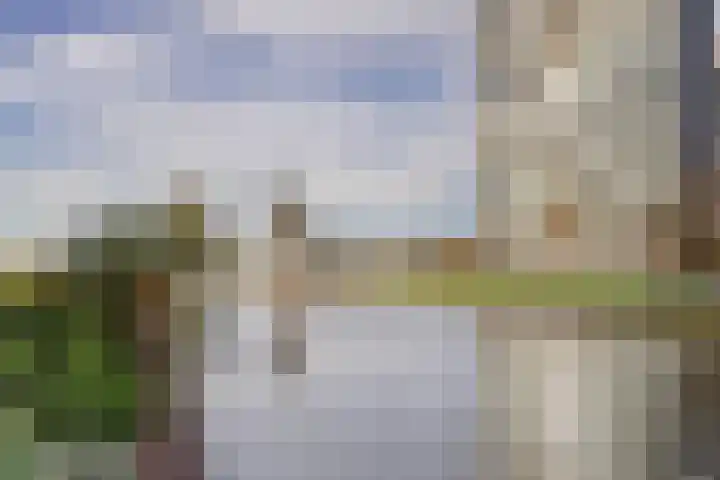 Bernhardhof 625 Gouda thumbnail 39