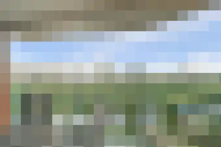 Bernhardhof 625 Gouda thumbnail 4