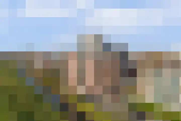 Bernhardhof 625 Gouda thumbnail 41