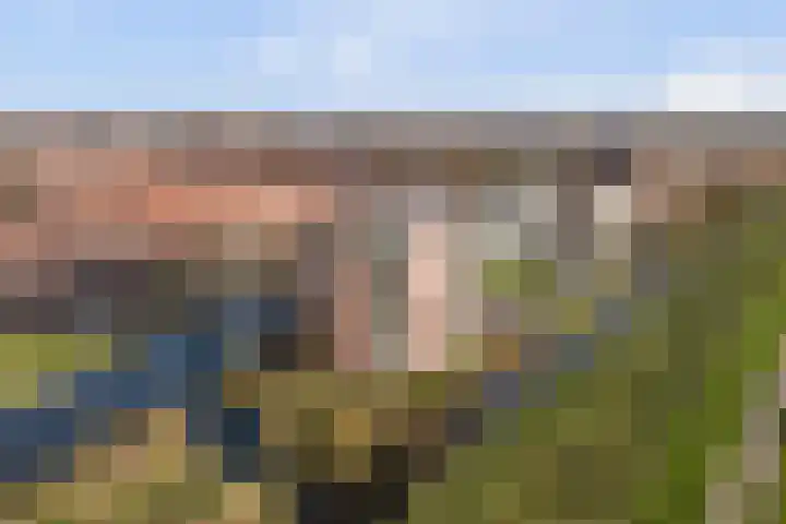 Bernhardhof 625 Gouda thumbnail 42