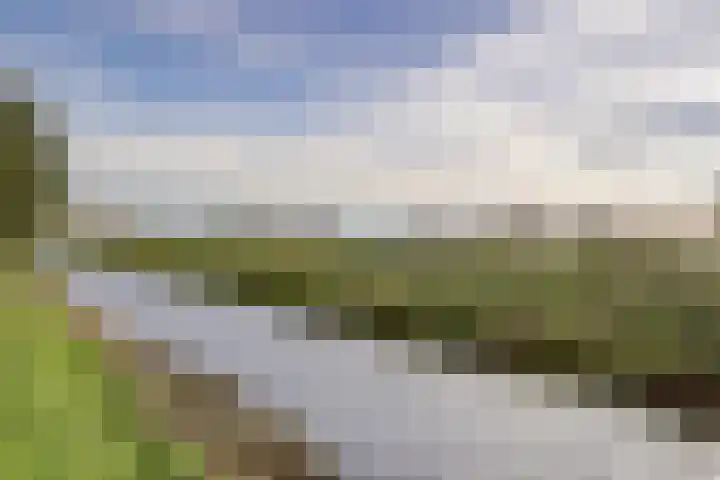 Bernhardhof 625 Gouda thumbnail 43