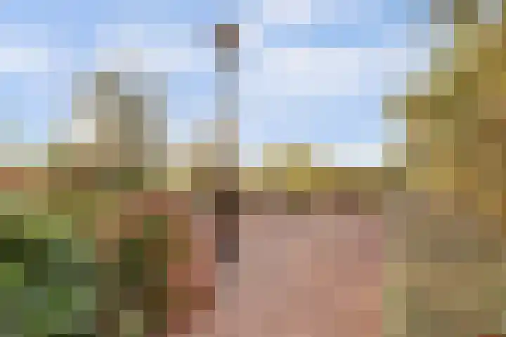 Bernhardhof 625 Gouda thumbnail 5
