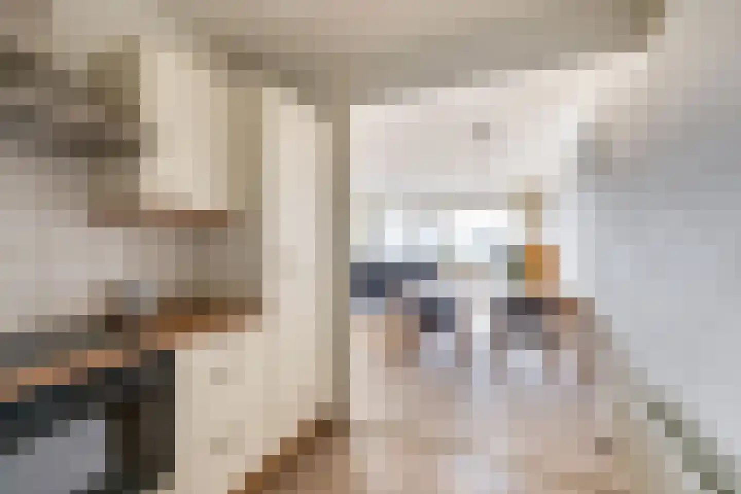 Bernhardhof 642 Gouda thumbnail 17