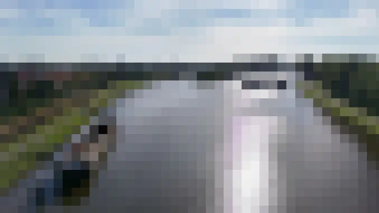 Bernhardhof 642 Gouda thumbnail 32