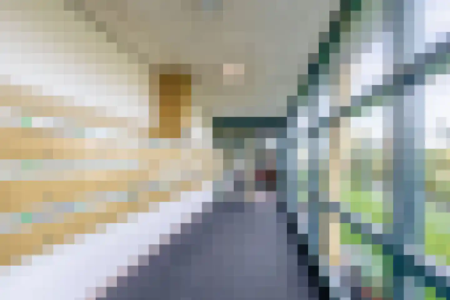 Bernhardhof 642 Gouda thumbnail 5