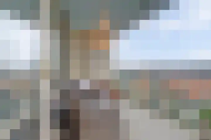 Bernhardhof 671 Gouda thumbnail 18