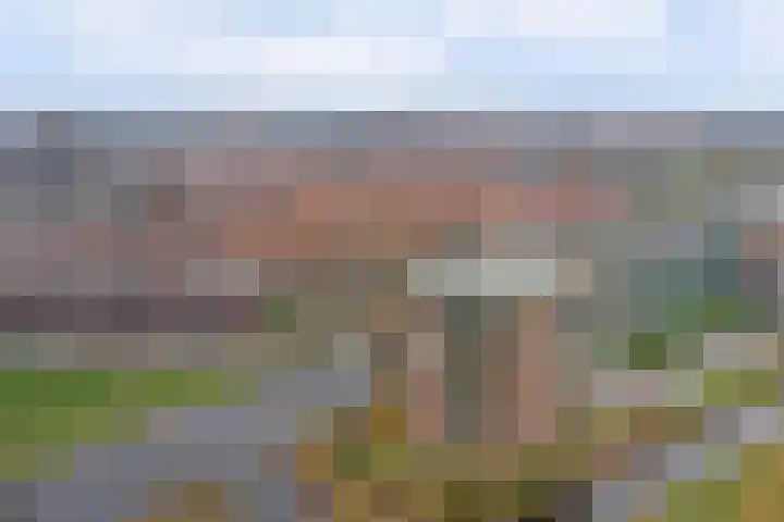 Bernhardhof 671 Gouda thumbnail 40