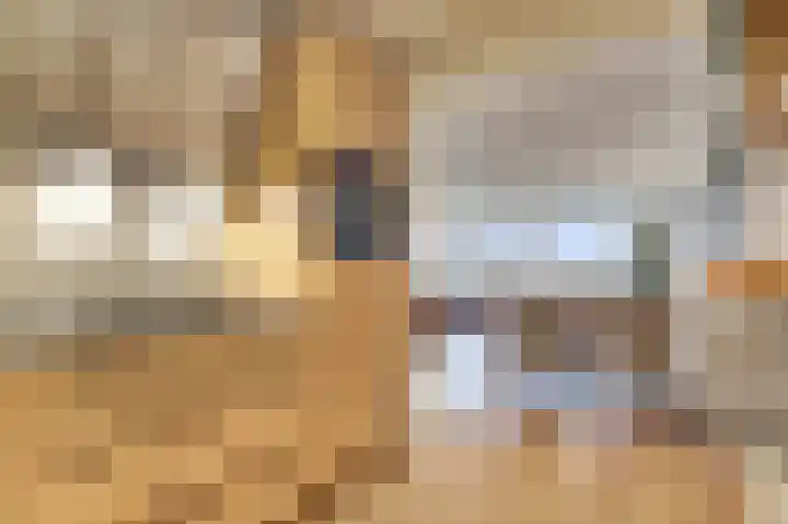 Bernhardhof 671 Gouda thumbnail 8