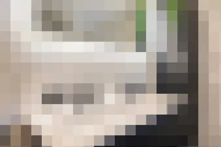 Bernhardlaan 1 Sint Odiliënberg thumbnail 30