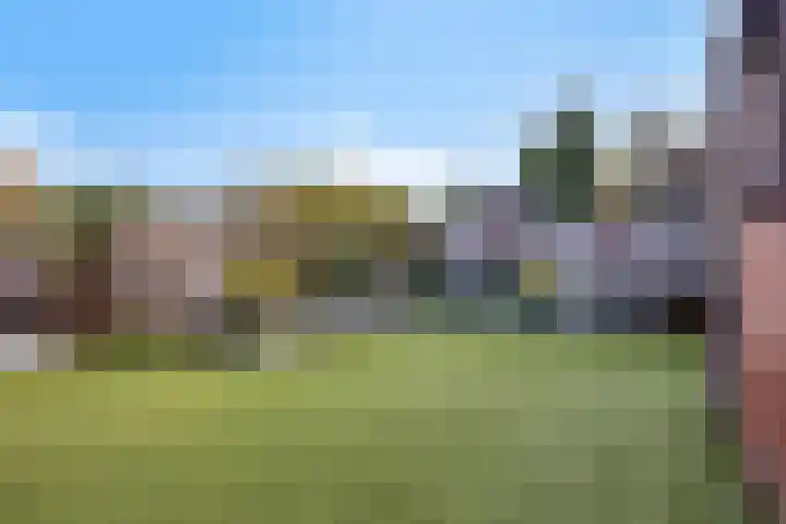 Bernhardlaan 1 Sint Odiliënberg thumbnail 33