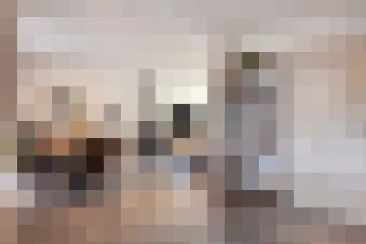 Bernhardlaan 1 Sint Odiliënberg thumbnail 7