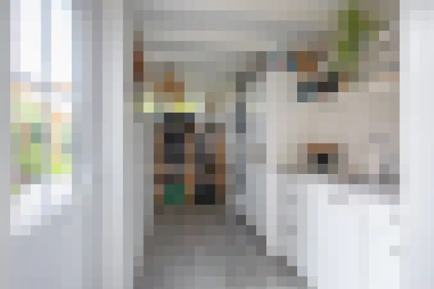Bernhardlaan 11 Den Burg thumbnail 12