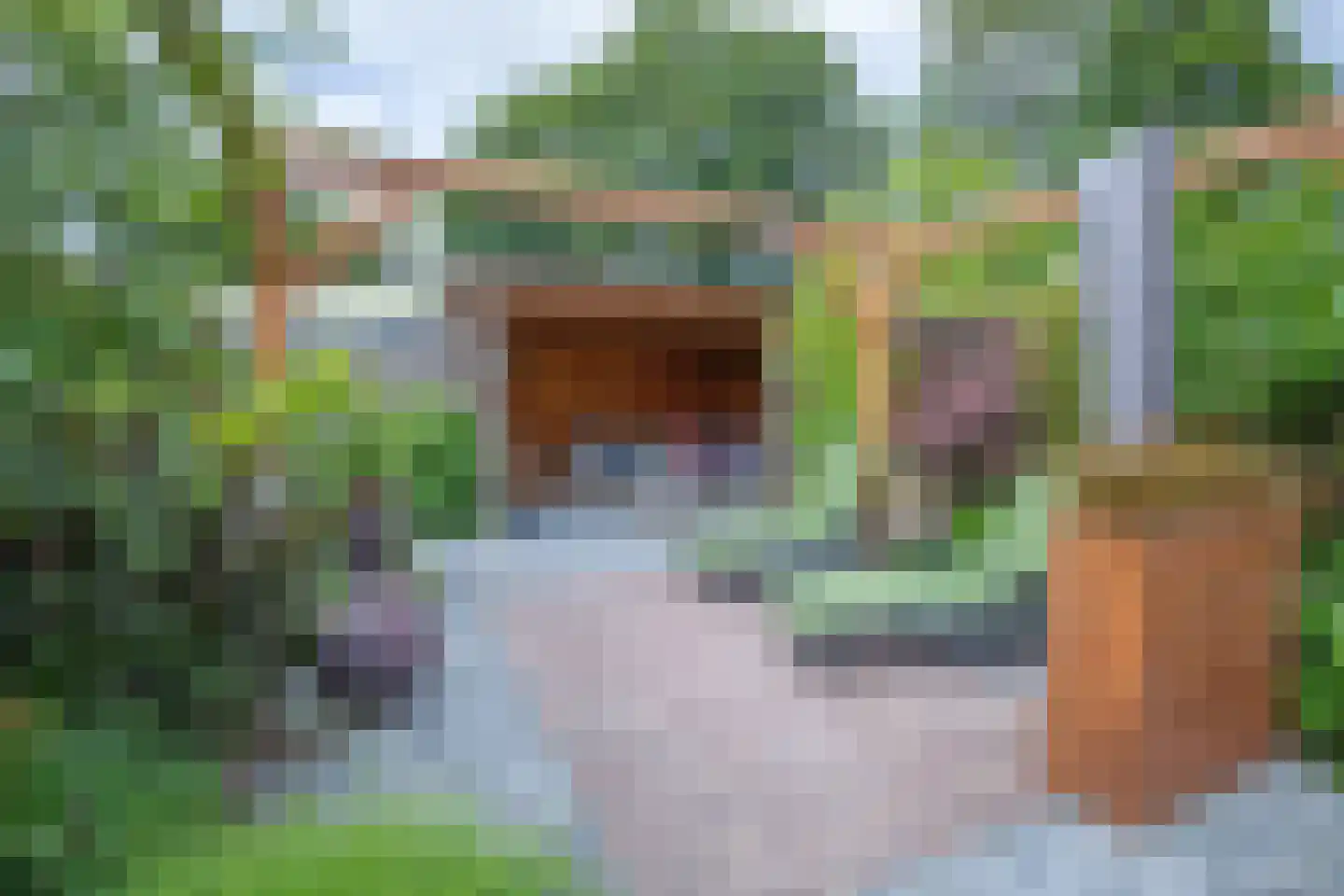 Bernhardlaan 11 Den Burg thumbnail 32