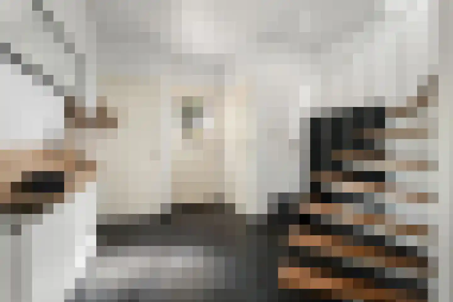 Bernhardlaan 11 Susteren thumbnail 13