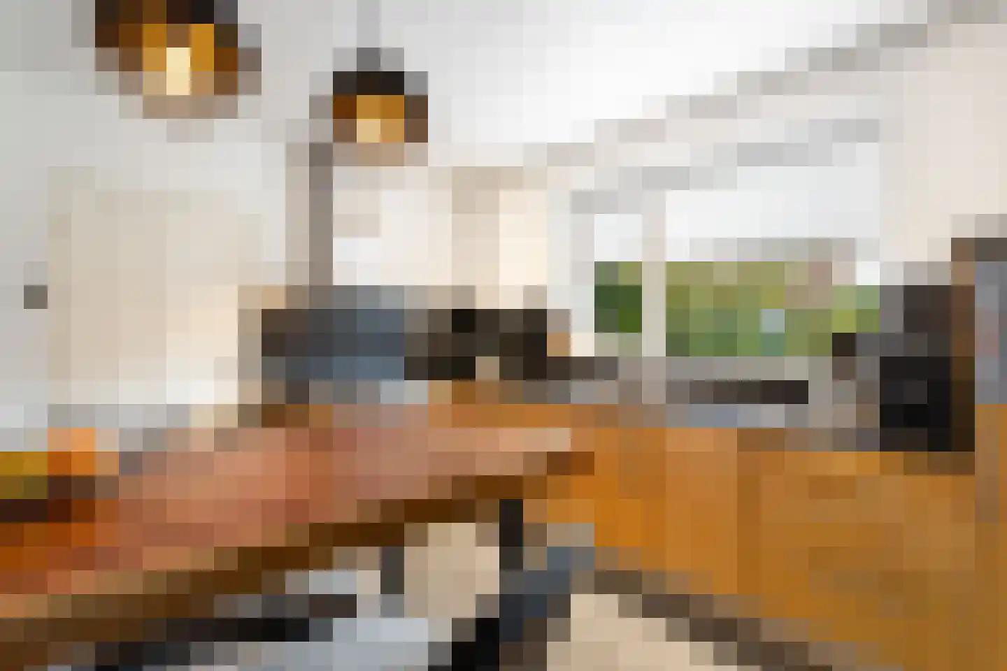 Bernhardlaan 11 Susteren thumbnail 21