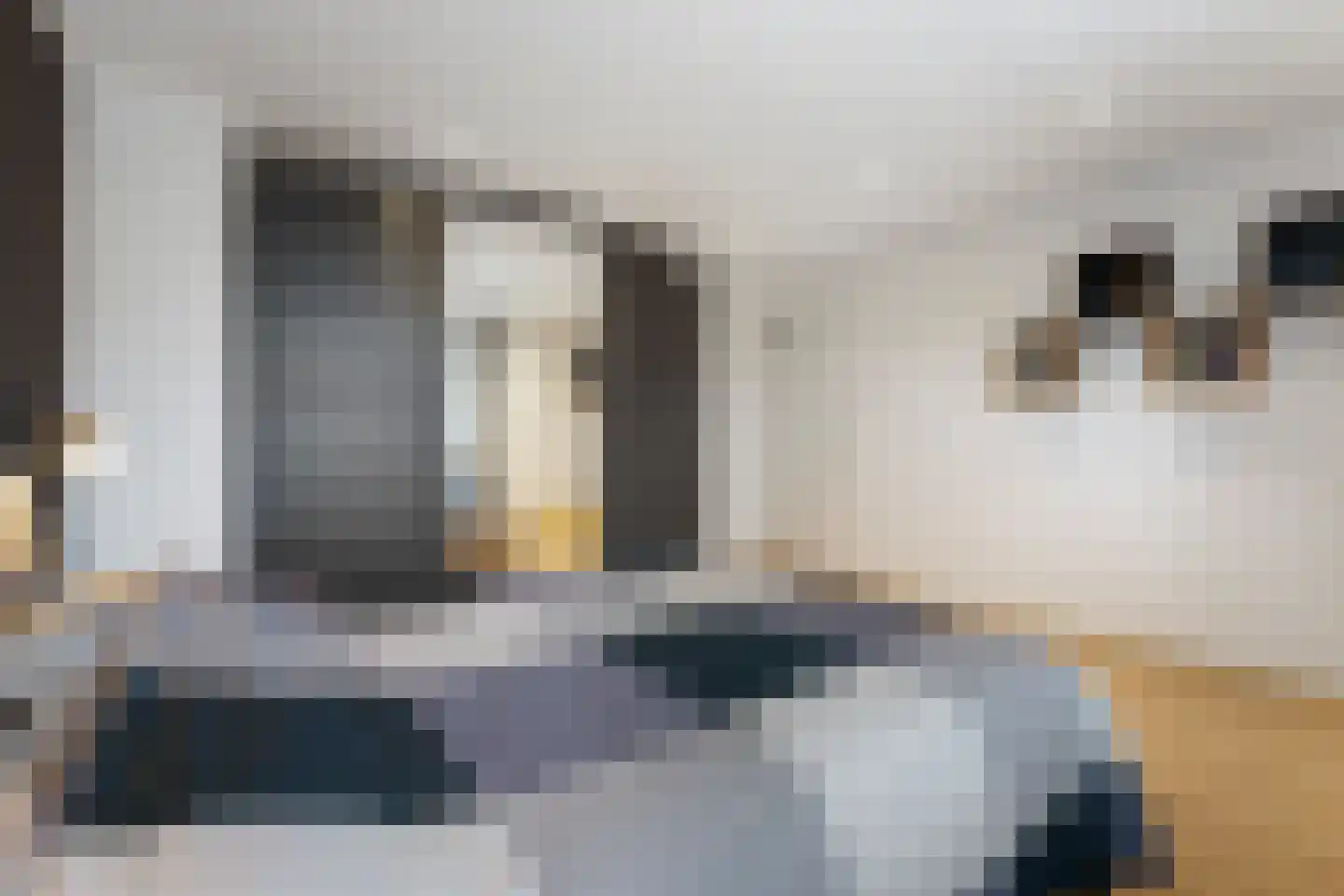 Bernhardlaan 11 Susteren thumbnail 41