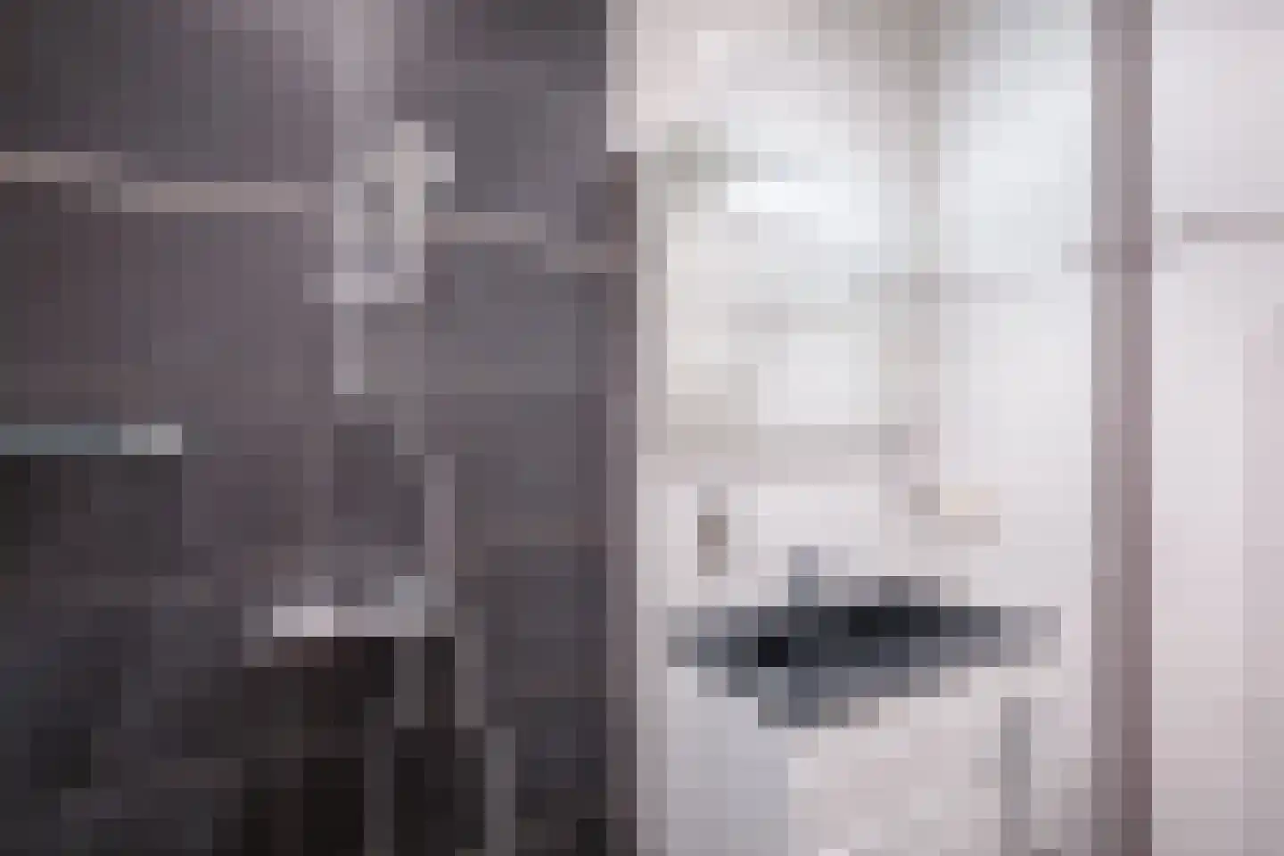 Bernhardlaan 112 Den Burg thumbnail 20