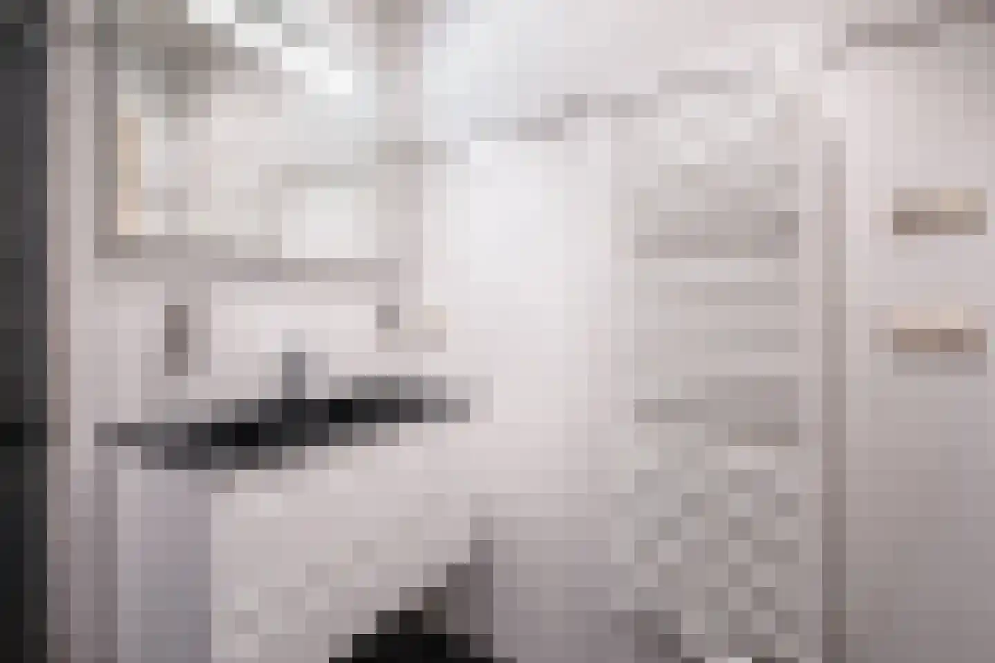Bernhardlaan 112 Den Burg thumbnail 21