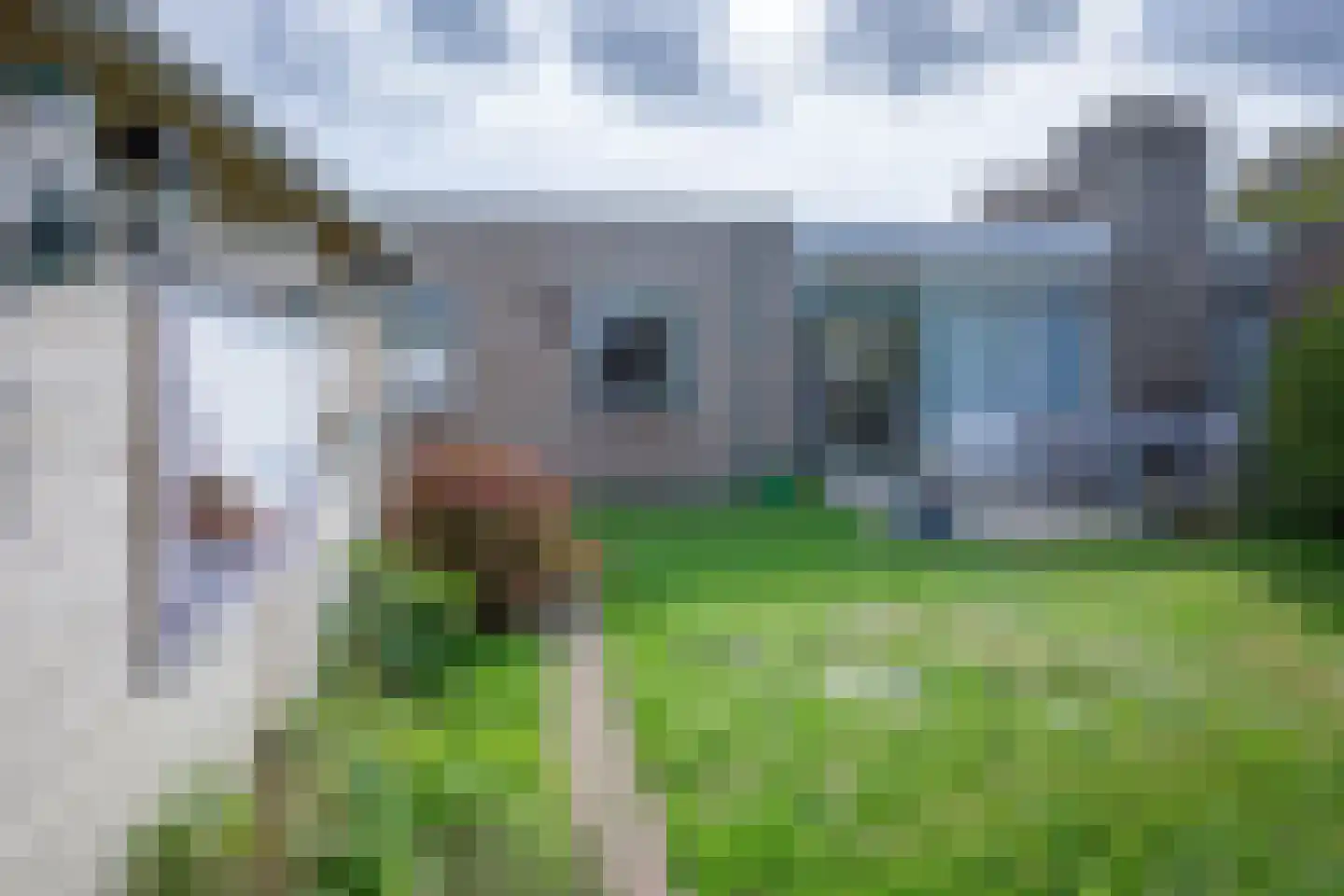 Bernhardlaan 112 Den Burg thumbnail 27