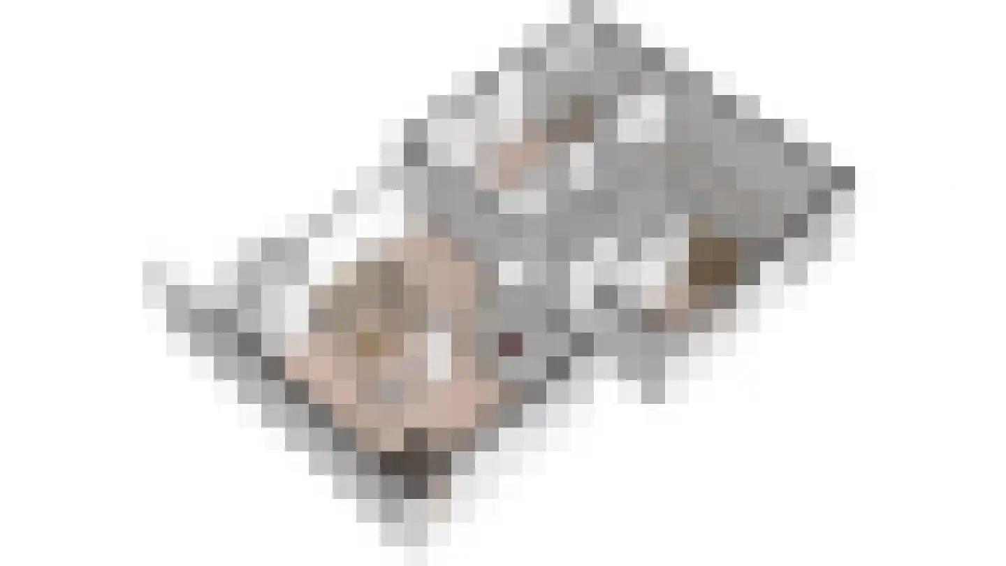 Bernhardlaan 112 Den Burg thumbnail 39