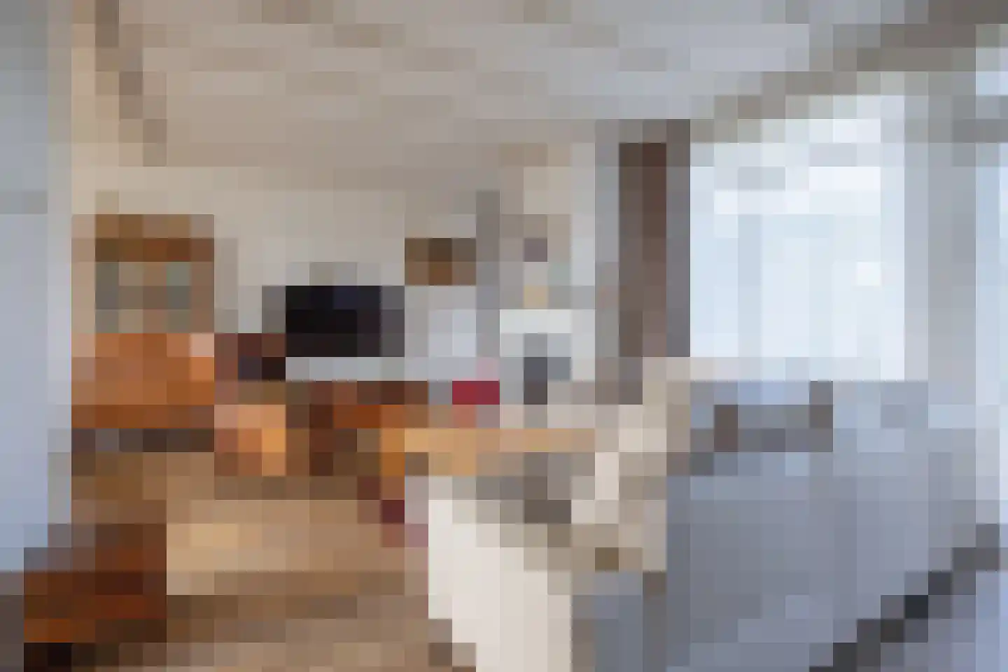 Bernhardlaan 112 Den Burg thumbnail 6