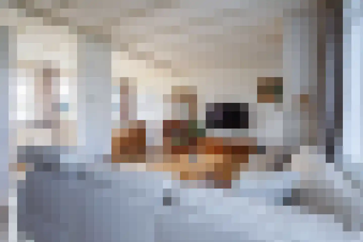 Bernhardlaan 112 Den Burg thumbnail 7