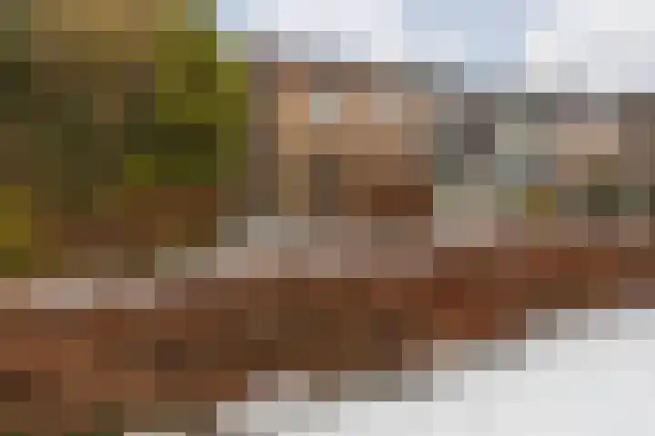 Bernhardlaan 12 in Sittard