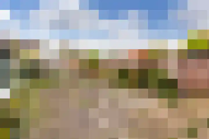 Bernhardlaan 12 Hoevelaken thumbnail 5