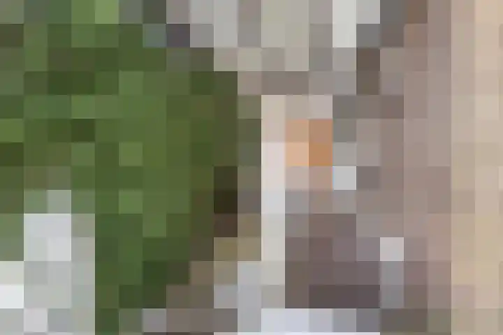 Bernhardlaan 12 Sittard thumbnail 26