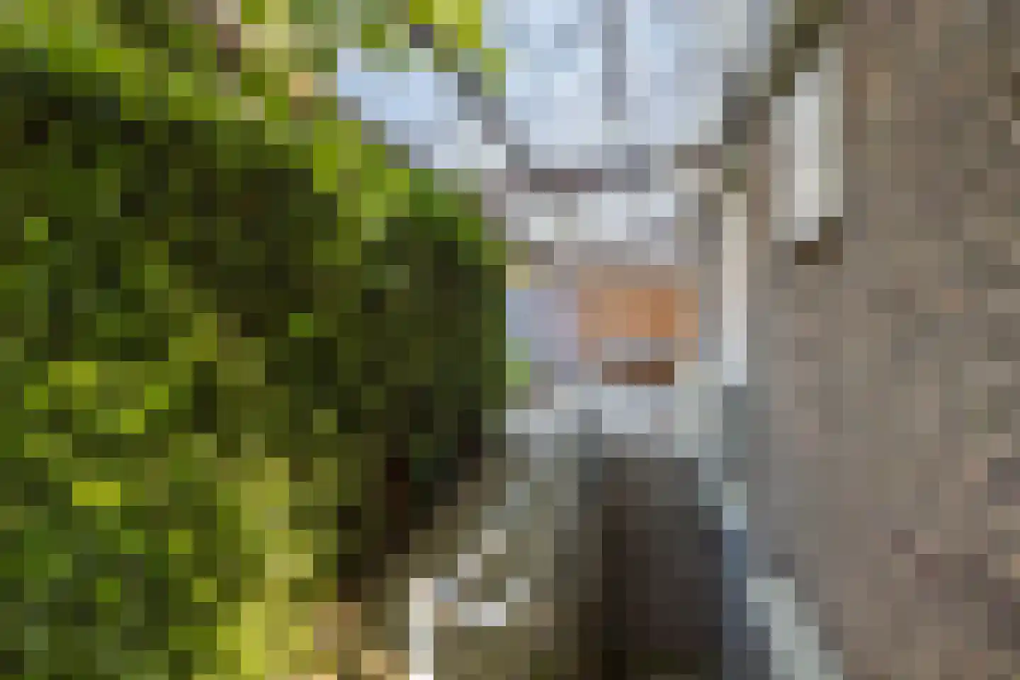 Bernhardlaan 12 Sittard thumbnail 30