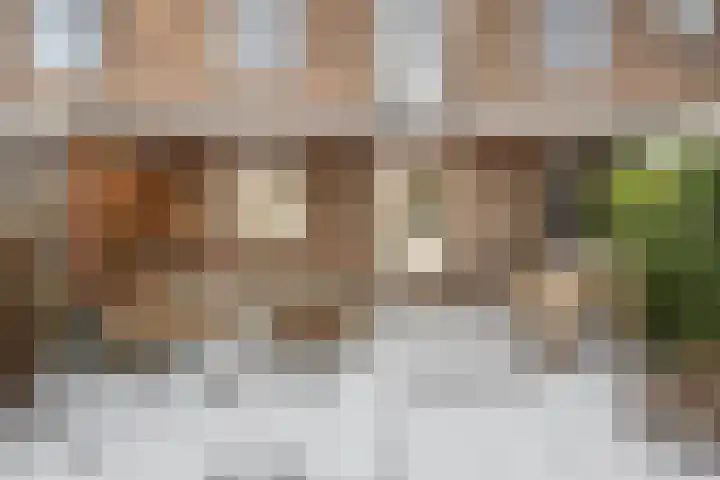 Bernhardlaan 12 Sittard thumbnail 30
