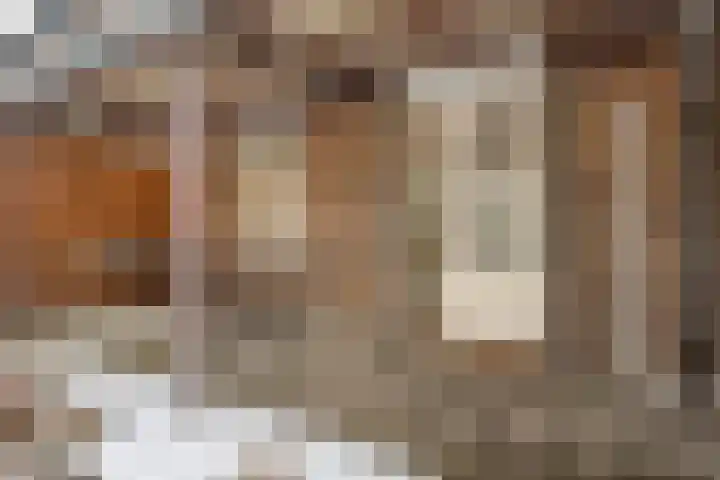 Bernhardlaan 12 Sittard thumbnail 31
