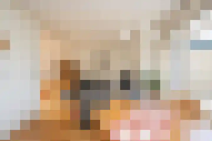 Bernhardlaan 126 Den Burg thumbnail 11