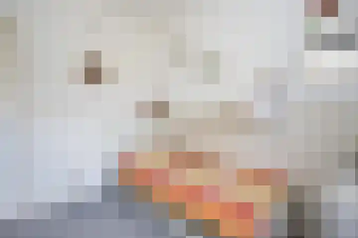 Bernhardlaan 126 Den Burg thumbnail 28