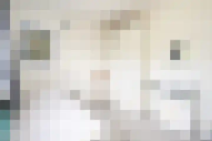Bernhardlaan 126 Den Burg thumbnail 30
