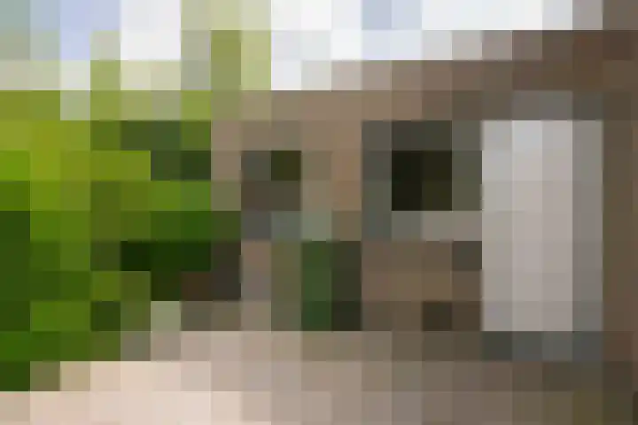 Bernhardlaan 126 Den Burg thumbnail 37