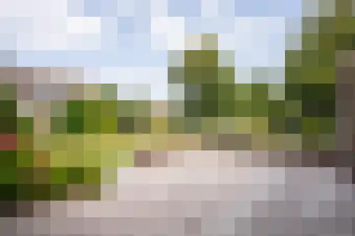 Bernhardlaan 126 Den Burg thumbnail 4