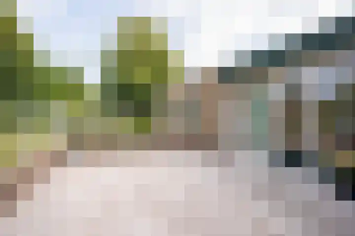 Bernhardlaan 126 Den Burg thumbnail 40