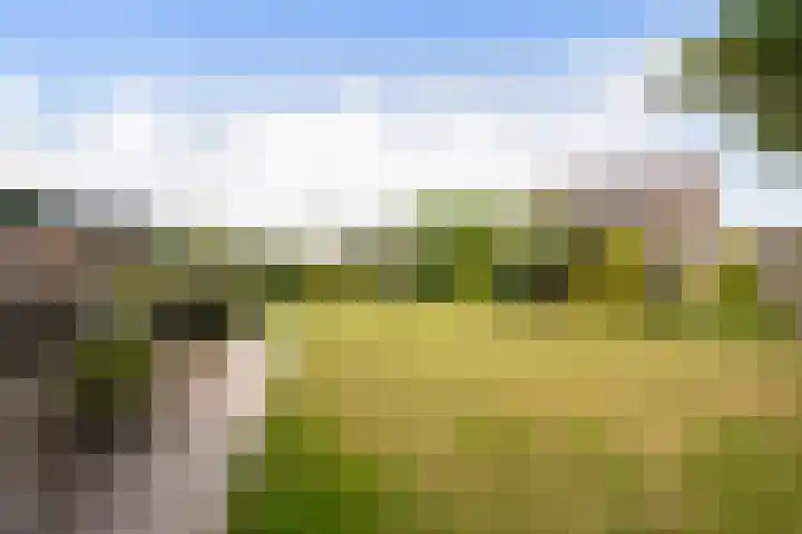 Bernhardlaan 126 Den Burg thumbnail 42