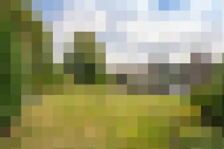 Bernhardlaan 126 Den Burg thumbnail 43