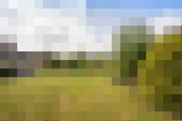 Bernhardlaan 126 Den Burg thumbnail 44