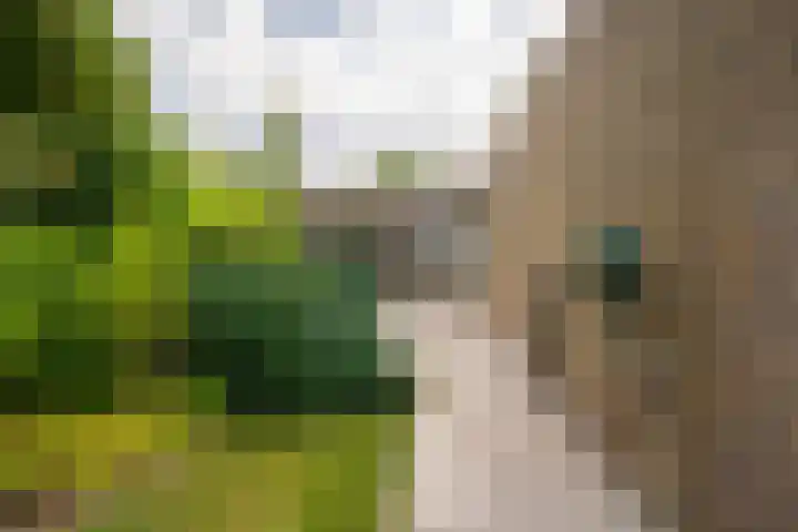Bernhardlaan 126 Den Burg thumbnail 45
