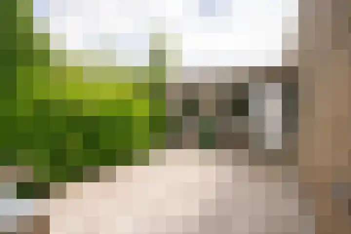 Bernhardlaan 126 Den Burg thumbnail 46