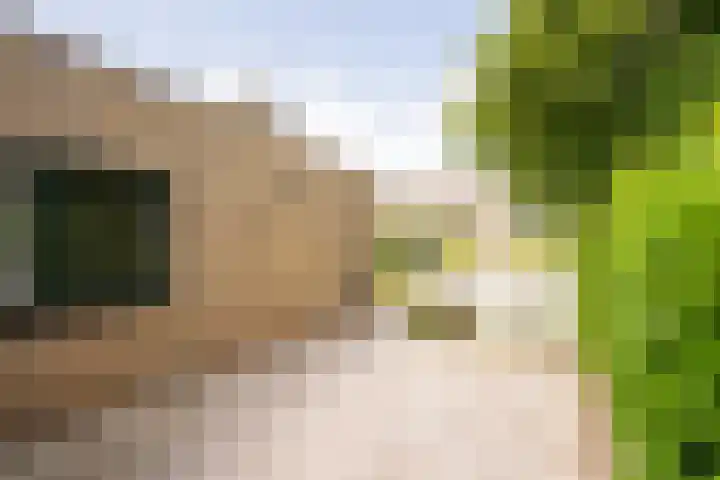 Bernhardlaan 126 Den Burg thumbnail 47